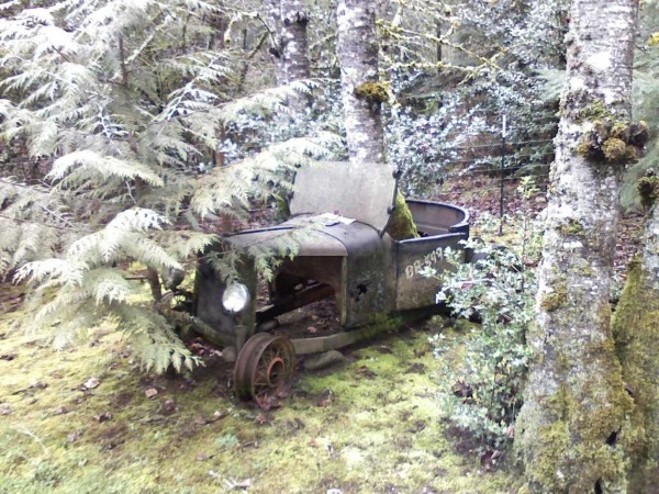 abandoned car tree 0wide