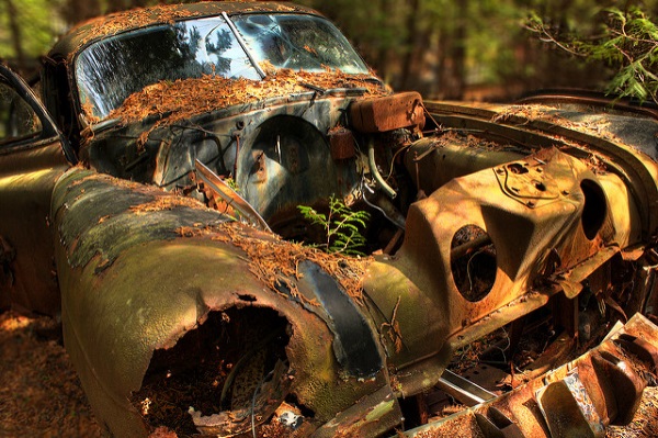 Trunk Driving: Tree-Colonized Abandoned Vehicles