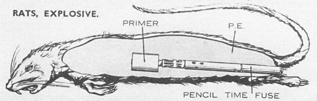 animal weapons exploding rat