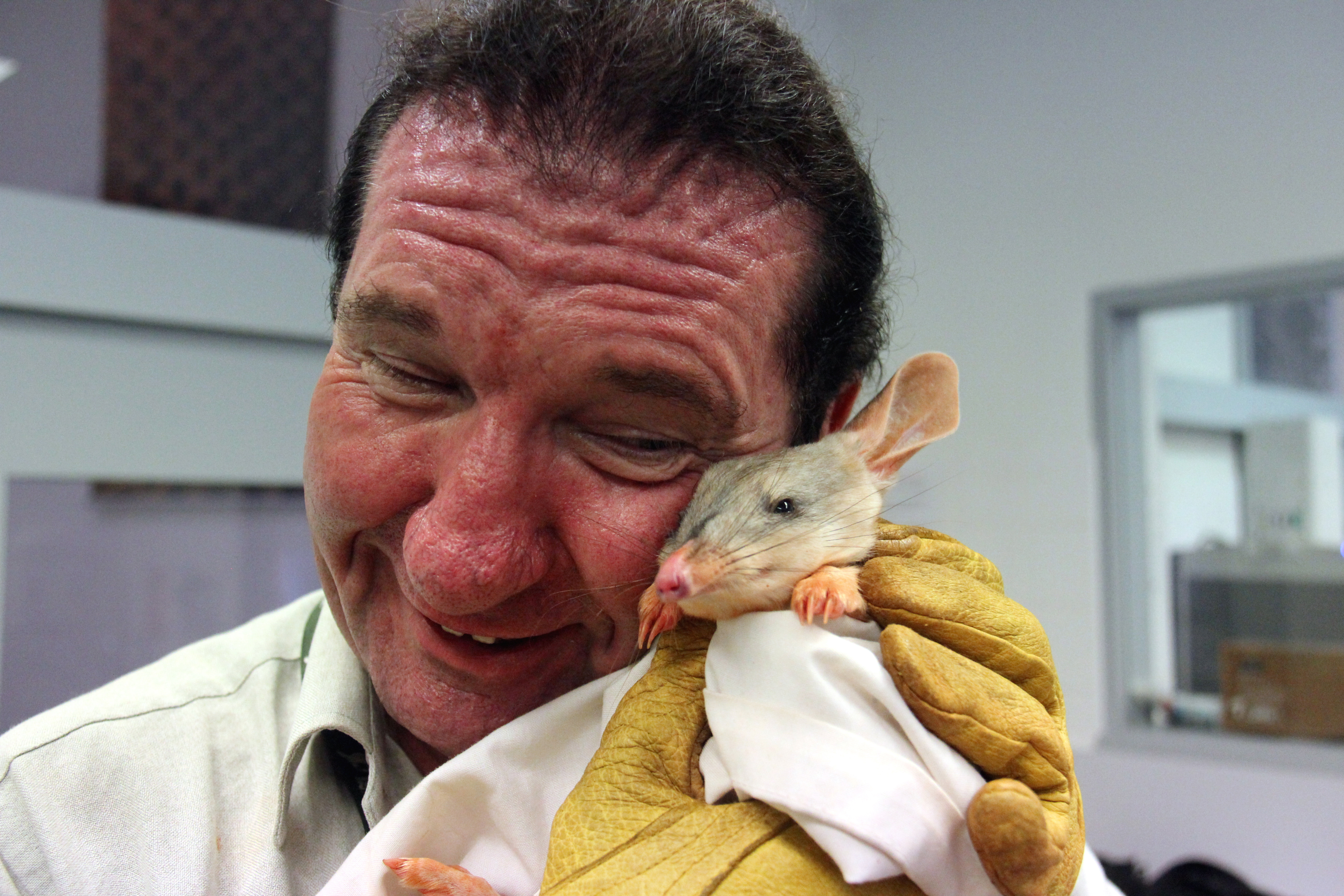 Zoo Royally Delighted by Bilbies Birth