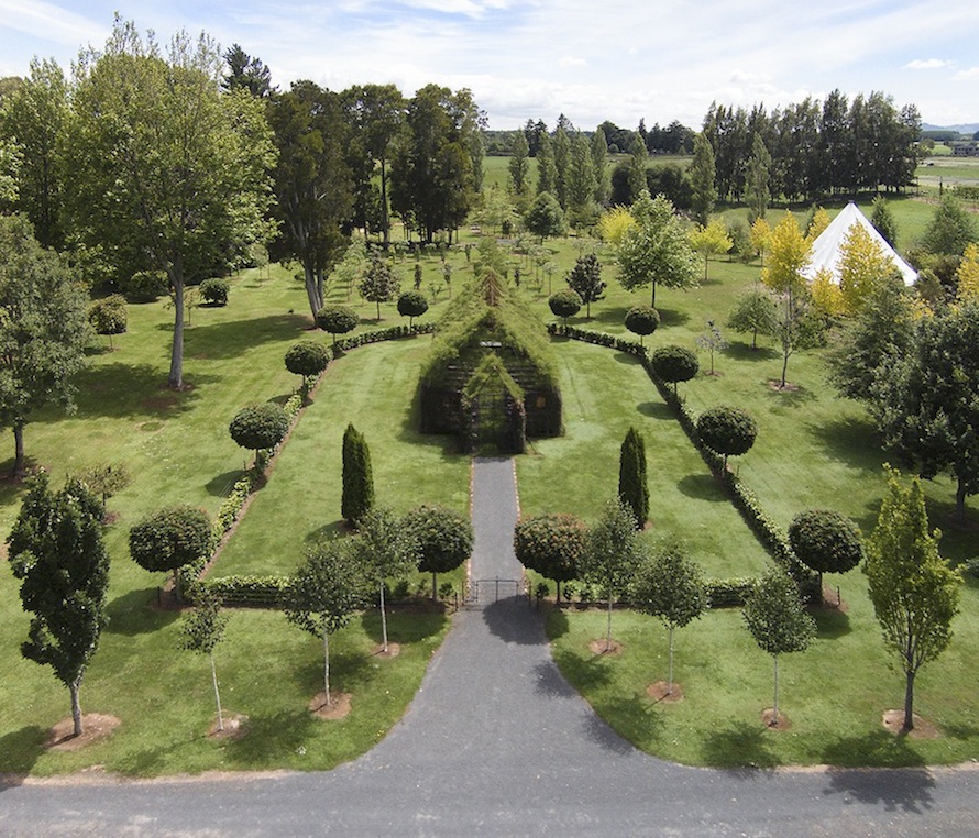 living trees church 1