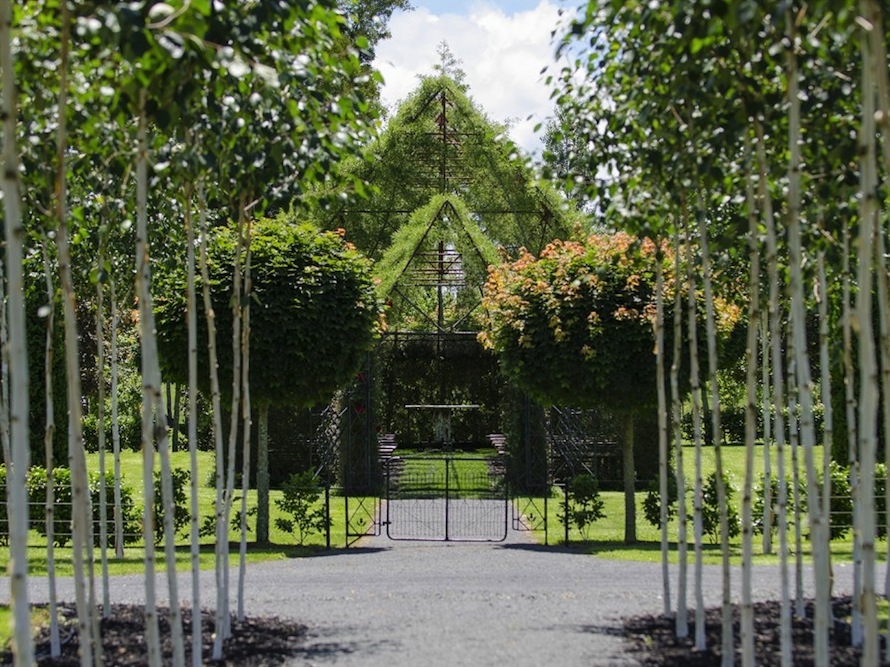 living trees church 3
