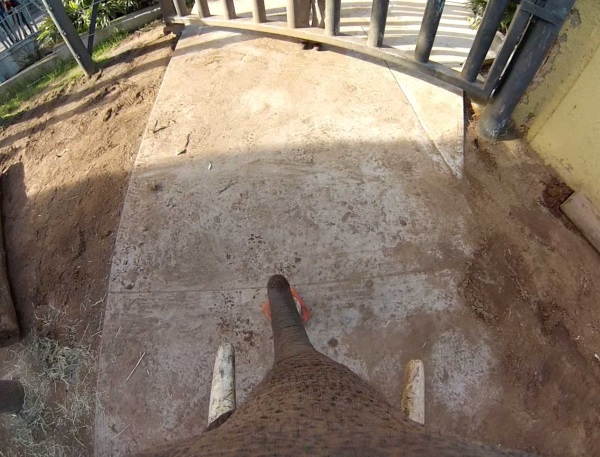 elephant-gopro-5
