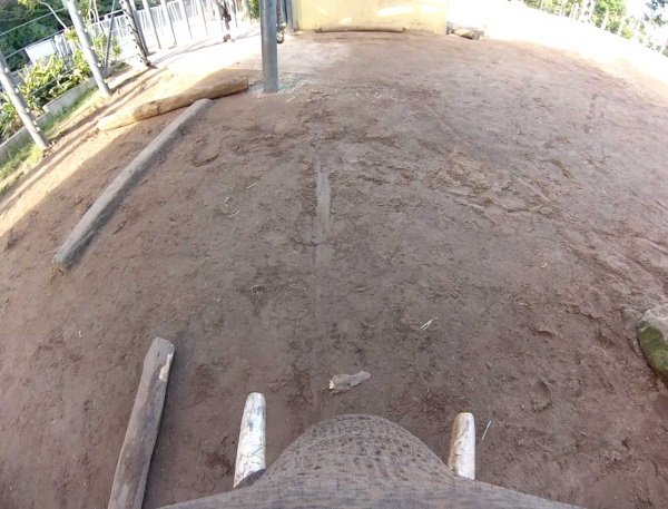 elephant-gopro-7