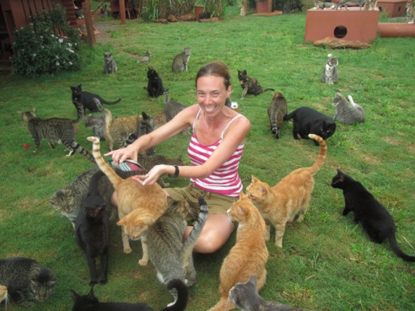Lanai-Cat-Sanctuary-10
