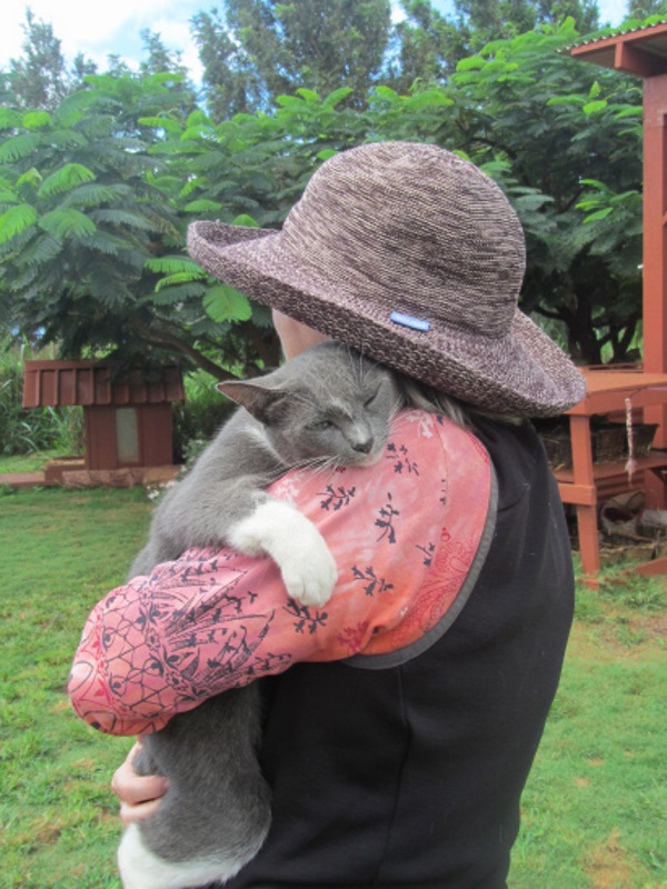 Lanai-Cat-Sanctuary-13