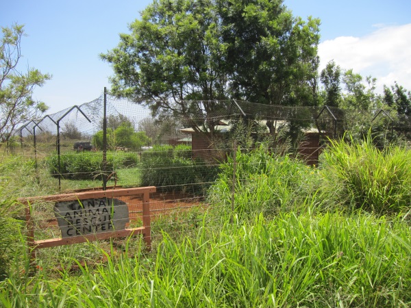 Lanai-Cat-Sanctuary-7