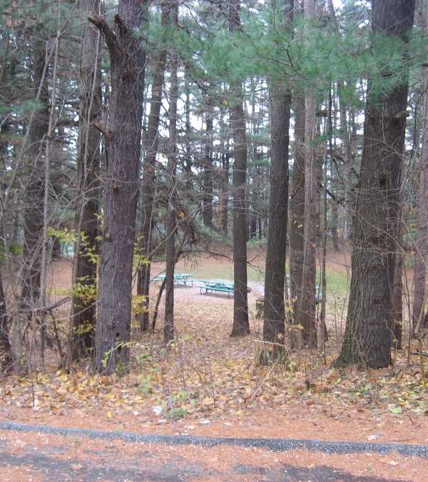 studebaker-tree-sign-4