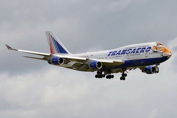 Tiger Face Jet Supports Endangered Big Cats