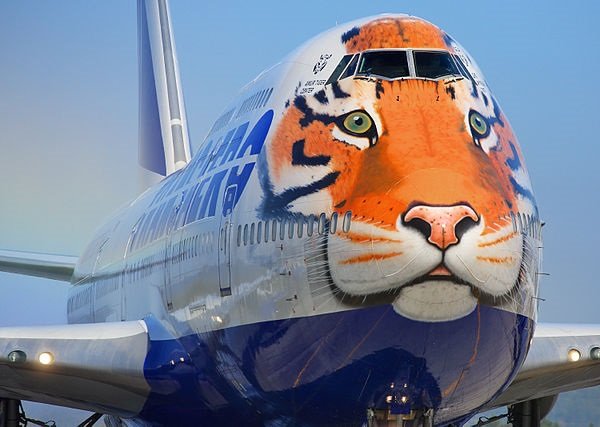 Tiger Face Jet Supports Endangered Big Cats