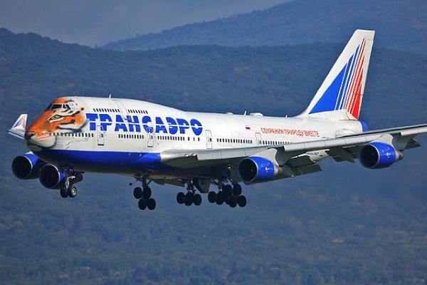 Tiger Face Jet Supports Endangered Big Cats