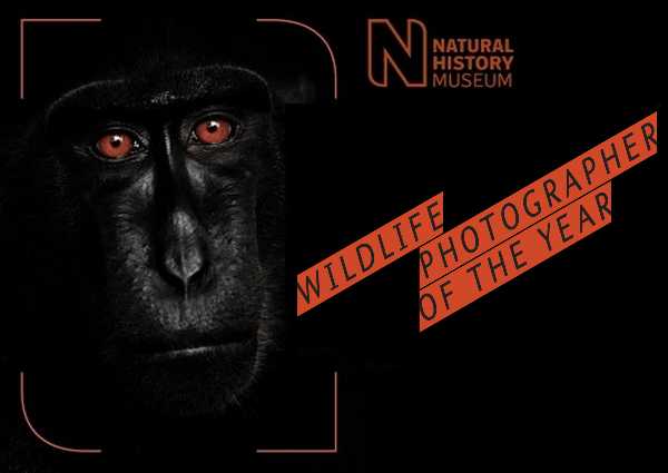 2015-wildlife-winners-0