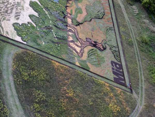 crop-art-11