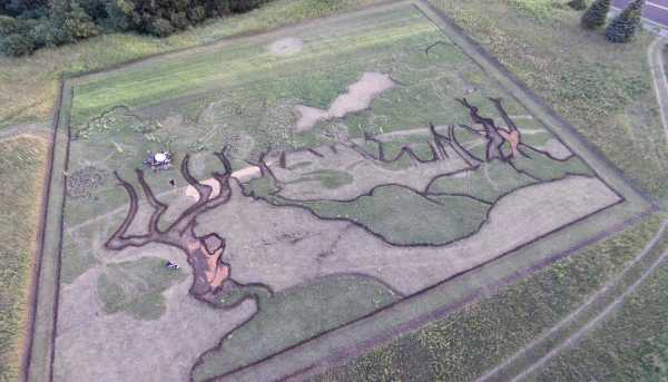 crop-art-5