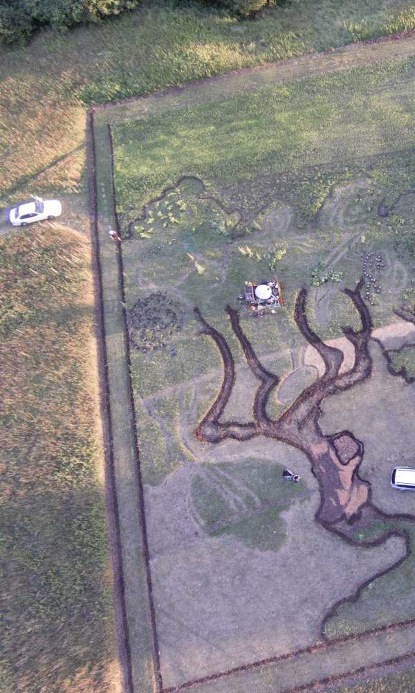 crop-art-7