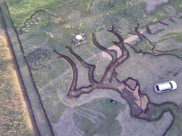 crop-art-8