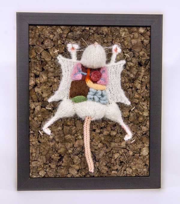 dissected-knits-1