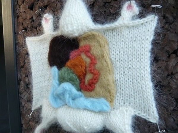 dissected-knits-1b