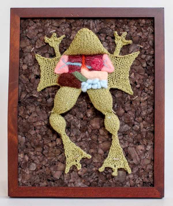 dissected-knits-2