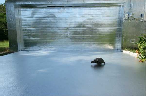 florida-foil-house-1