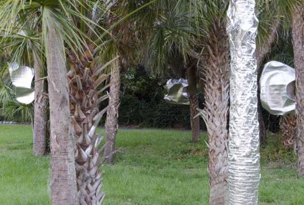 florida-foil-house-19