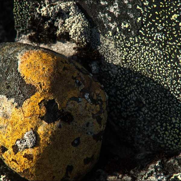 russia-kola-18