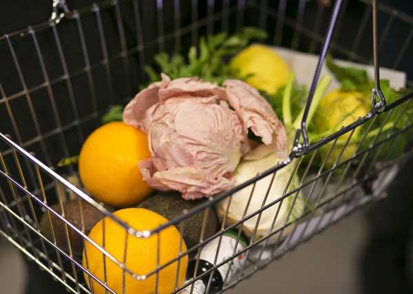 WeFood-4