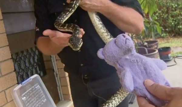 snake-teddy-bear-13