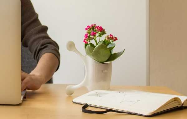 suction-cup-planters-7