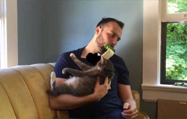 licki-brush-2