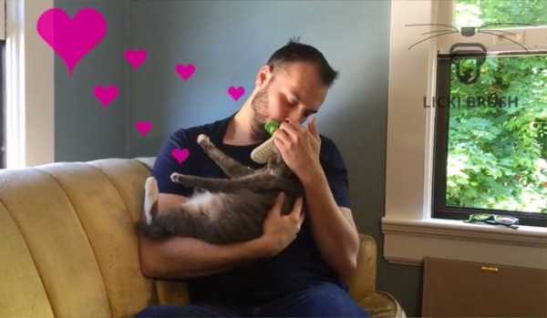 licki-brush-4