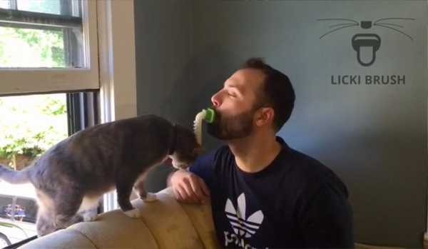 licki-brush-9