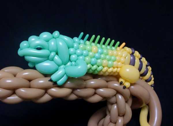 balloon-animals-16