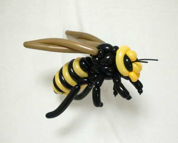 balloon-animals-6