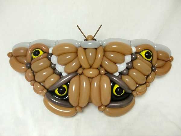 balloon-animals-9