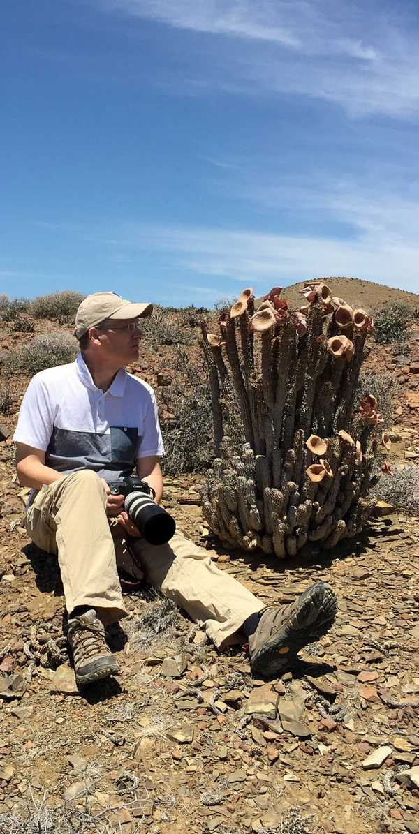 hoodia-gordonii