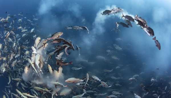 WPY2016-2