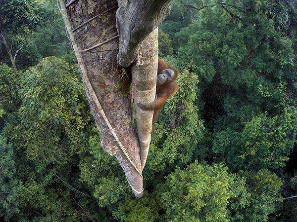 WPY2016-3