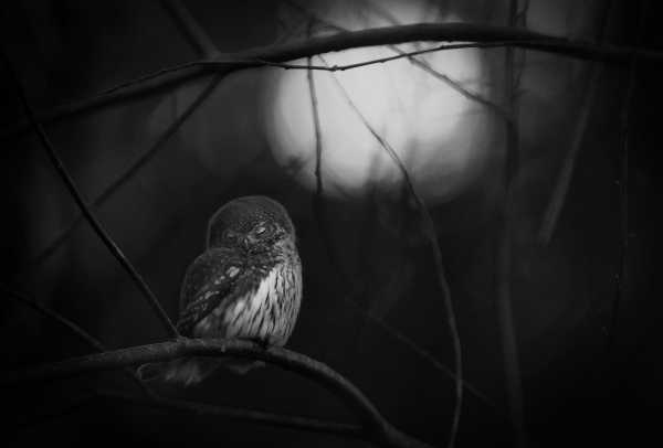 WPY2016-7