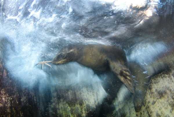 WPY2016-8
