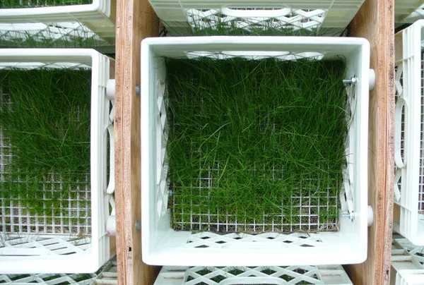 recycled-milk-crates-7