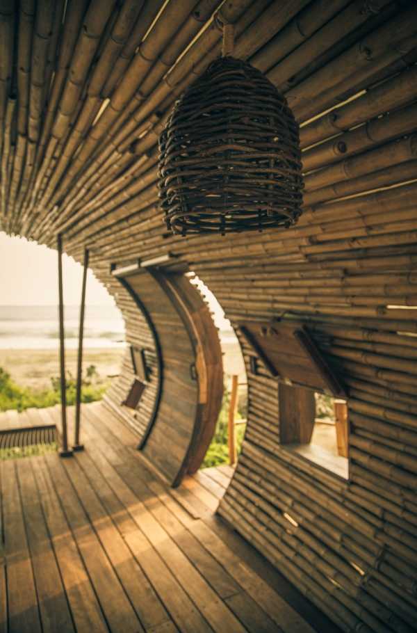 cylindrical-treehouse-10