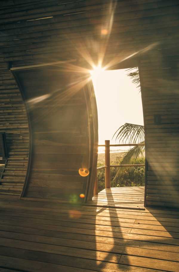 cylindrical-treehouse-9