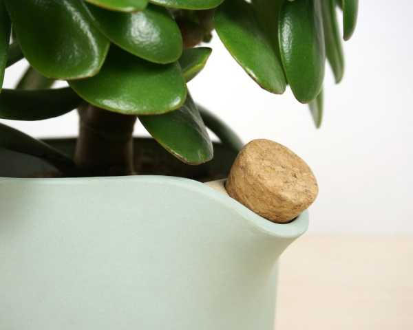 natural-balance-2
