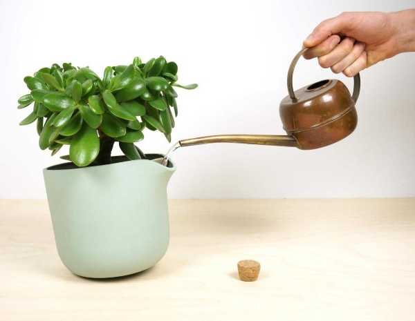 natural-balance-3