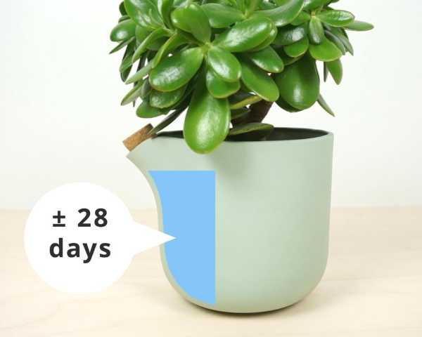 natural-balance-5