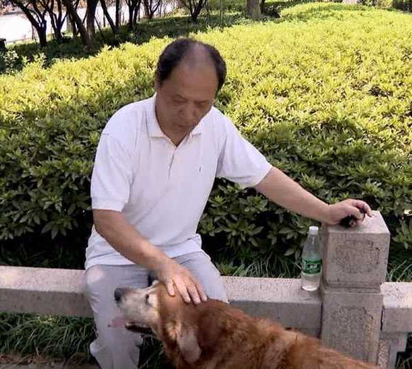 china-golden-retriever-cleans-river-8