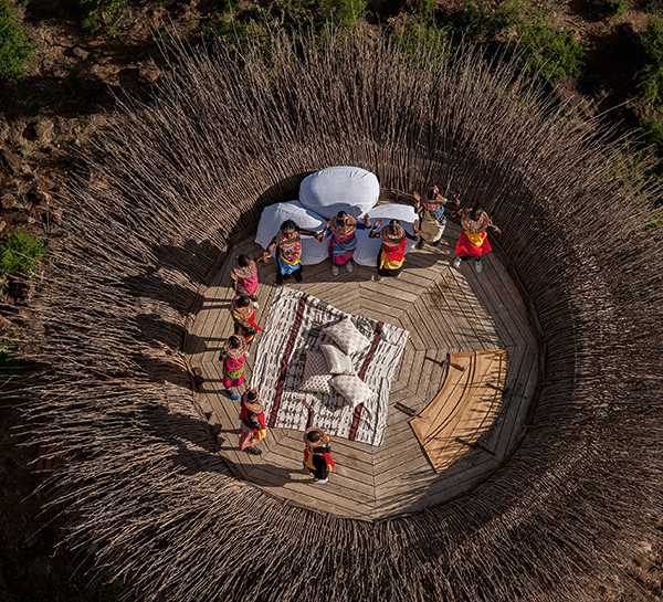 Best Nestin’: Luxurious Treetop Bird Nest Suite