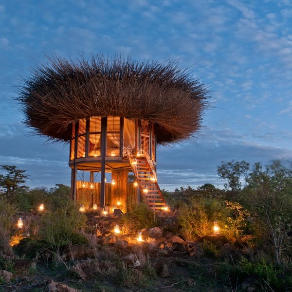 Best Nestin’: Luxurious Treetop Bird Nest Suite