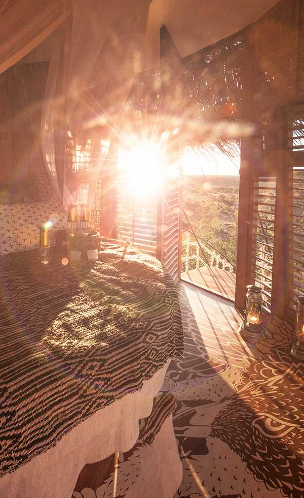 Best Nestin’: Luxurious Treetop Bird Nest Suite